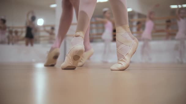 Обучение балету - группа маленьких девочек стоит на пуантах — стоковое видео
