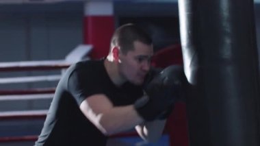 Çekici genç boksör kum torbasını yumrukluyor.