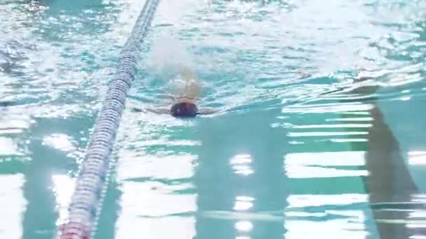 水泳大会-足を使って背中を泳いでいる小さな子供 — ストック動画