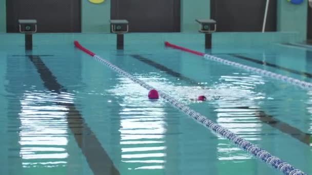 COMPETICIONES DE Nadar - niños pequeños nadando en la pista sobre su espalda usando sus piernas — Vídeos de Stock