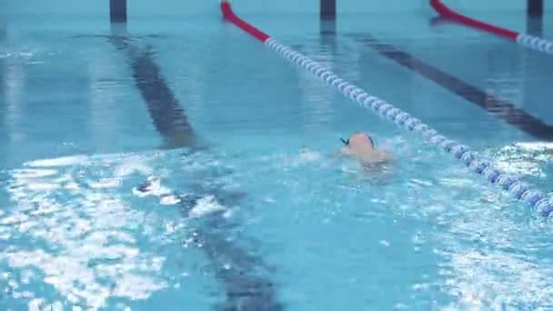 水泳大会-彼らの手を使用して背中に泳ぐ小さな子供 — ストック動画