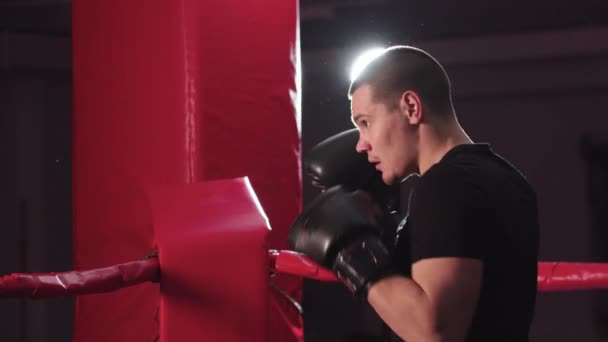 Un joven se concentra y empieza a boxear en la sombra — Vídeos de Stock