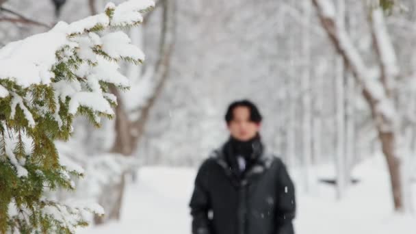 Giovane uomo asiatico in inverno giacca passeggiate nella foresta innevata — Video Stock