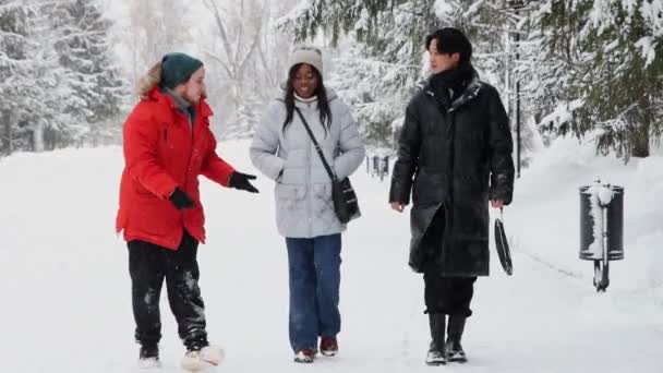Gruppo di amici della diversità a piedi nella foresta invernale — Video Stock