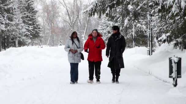 Группа друзей по разнообразию гуляет по зимнему лесу и разговаривает — стоковое видео
