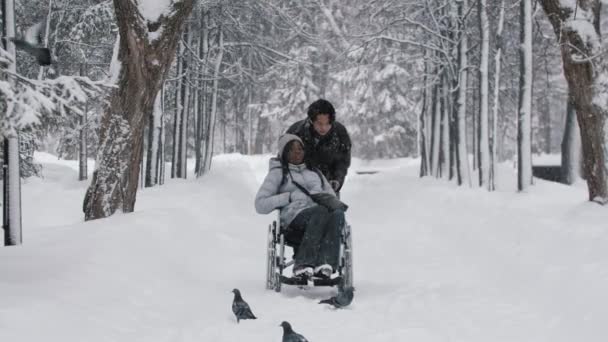 젊은 이시아인 커플 과 그 의 흑인 여자 친구가 겨울 숲에서 휠체어를 타고 걷고 있는 모습 — 비디오