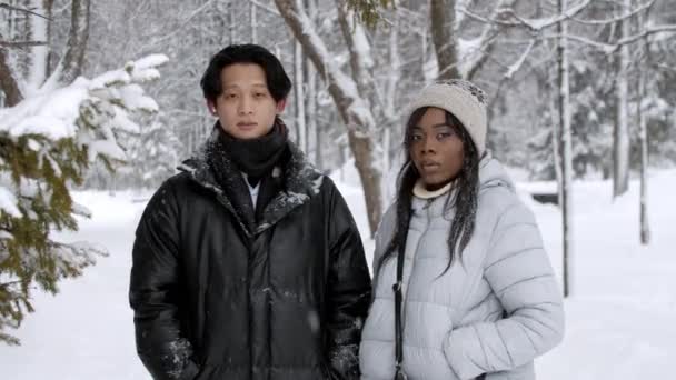 Couple de mec asiatique et femme noire debout dans la forêt d'hiver — Video