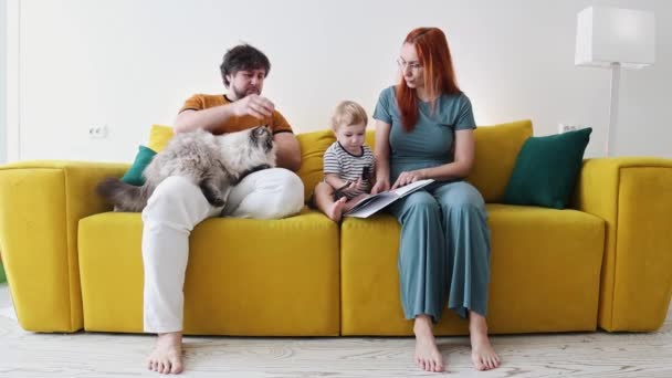 Aile sarı koltukta oturuyor, büyük tüylü kediyle. — Stok video