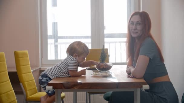 Ginger kobieta matka siedzi przy stole z jej małym dzieckiem, który próbuje ukraść kawałki jabłka z talerza — Wideo stockowe