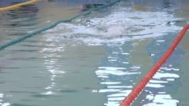 Homem profissional nadador nadador na pista na piscina — Vídeo de Stock