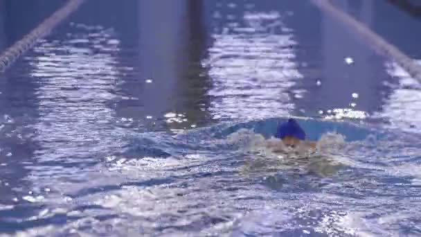 A young female swimmer swims in an indoor pool — Stock video