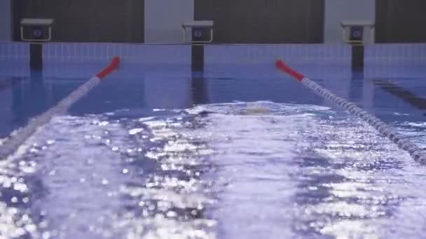 一位年轻的女游泳运动员在室内游泳池的田径上游泳 — 图库视频影像