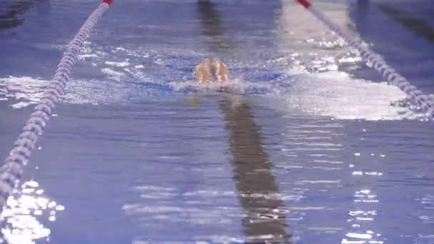 Een jonge vrouw professionele zwemmer zwemt op een spoor van een zwembad — Stockvideo
