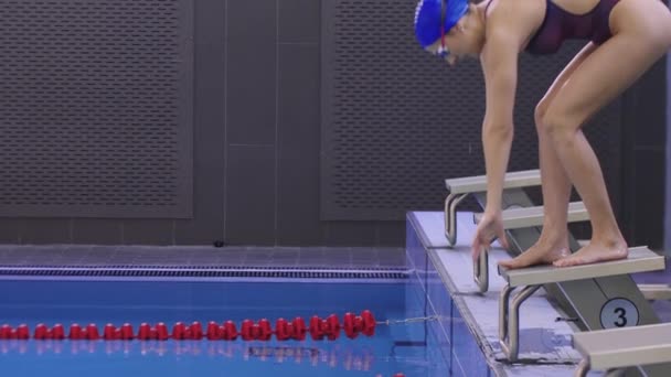 Young woman swimmer stands on the stand and dives in the pool — стоковое видео