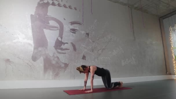 Plastic vrouw met tattoos die aerobics doet tegen de achtergrond van een muur met het beeld van een Boeddha — Stockvideo