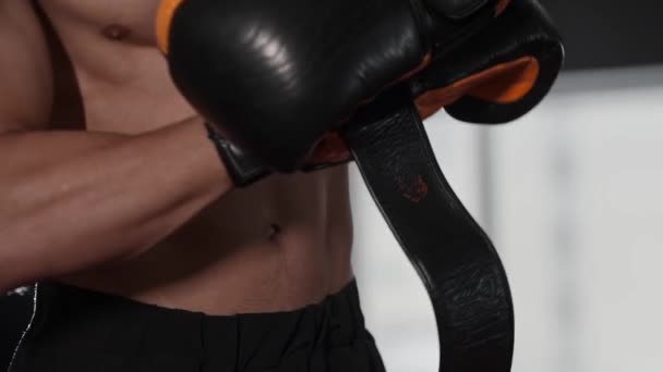 Passa Skjortlös Man Sätta Boxer Handskar Händerna Mittskott — Stockvideo