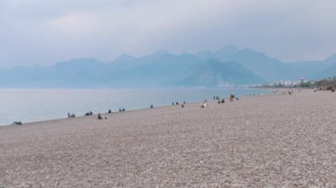 İnsanlar sahilde deniz kenarında dinleniyor. Orta çekim