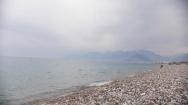 Ekose gömlekli genç bir adam kıyıya doğru yürür ve çakıl taşlarının üzerine oturur. Orta çekim