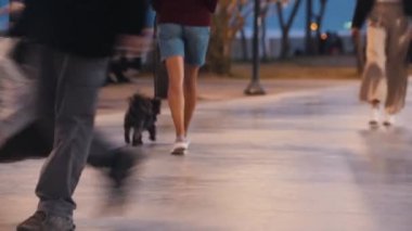 03-04-2022 TURKEY, İSTANBUL: Akşam vakti genç bir kadın köpeğini rıhtımda gezdirir. Orta çekim