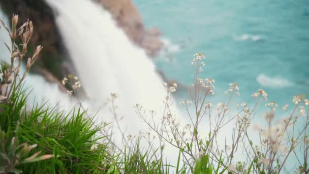 Grünes Gras Und Blumen Auf Einer Klippe Wasserfall Mittelschuss — Stockvideo