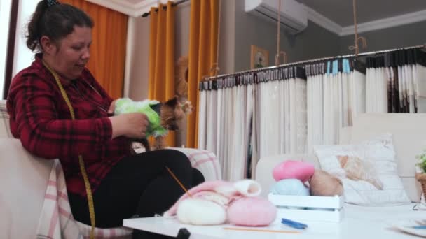Žena Měří Tělo Klidného Štěňátka Yorkshirského Teriéra Sedícího Oděvním Ateliéru — Stock video