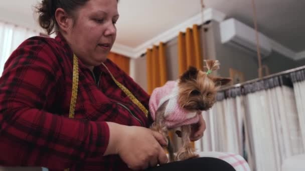 一个穿着粉色毛衣的女人给小狗穿衣 — 图库视频影像