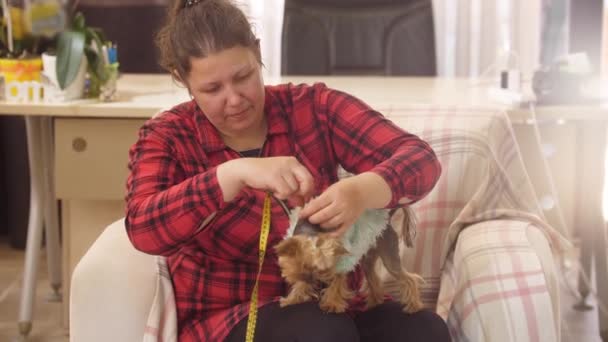 Een Vrouwelijke Kleermaker Meet Een Kleine Puppy Een Blauwe Trui — Stockvideo