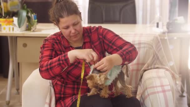 Une Femme Tailleur Mesure Petit Chiot Dans Pull Bleu Avec — Video