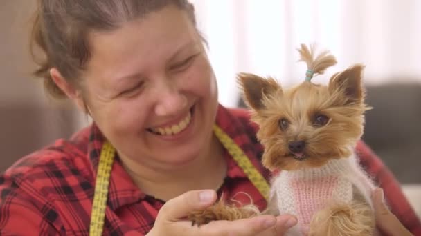 분홍색 스웨터를 귀여운 강아지를 점잖은 Mid — 비디오