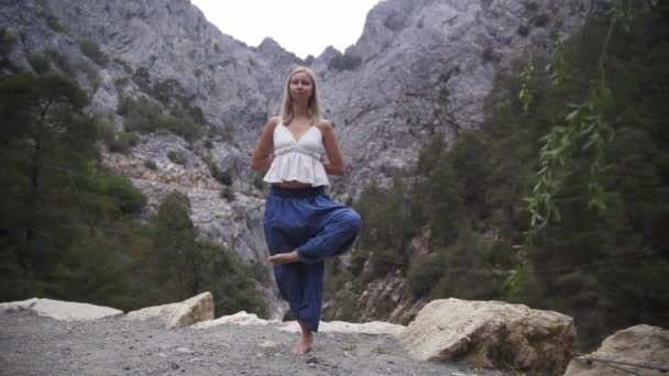 山のヨガ 女性のゆったりとしたパンツ瞑想的な演習を行う ミッドショット — ストック動画