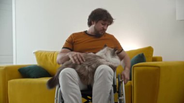 Adult man in a wheelchair petting his fluffy cat. Mid shot