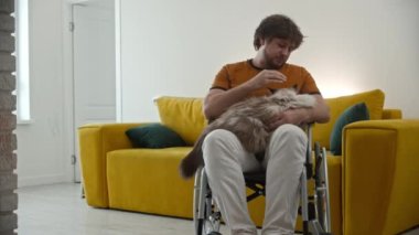 Adult sad man in a wheelchair petting his fluffy cat. Mid shot