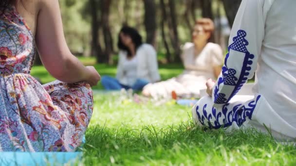 Women Traditional Dresses Meditating Grass Sitting Circle Festival Mid Shot — Stockvideo