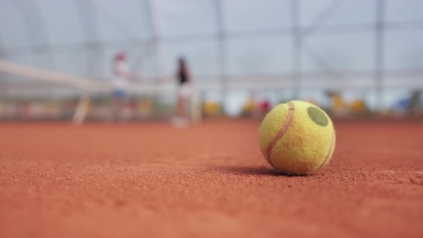 Tennis Ball Court Two Women Tennis Players Greeting Each Other — Vídeo de stock