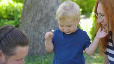 Little boy playing with dandelion stalk surrounded with his parents. Mid shot
