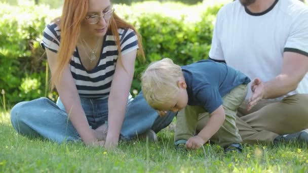 Family Spend Time Green Park Little Boy Collecting Grass Mid — Vídeo de stock