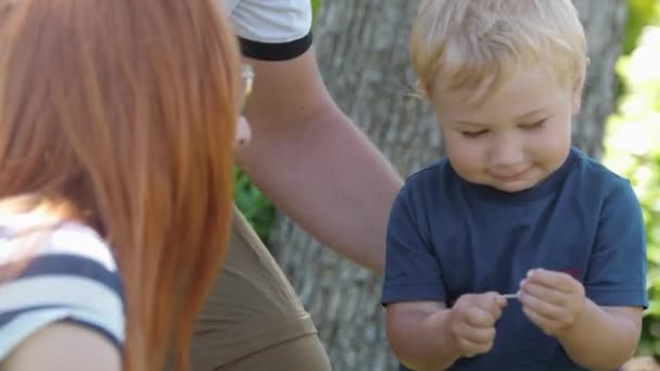 Aile Yeşil Parkta Vakit Geçirir Küçük Çocuk Karahindiba Sapıyla Oynar — Stok video