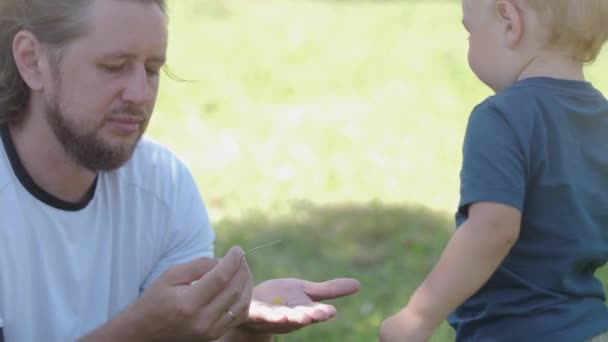 Little Boy Puts Dandelion Stalk His Father Palm Mid Shot — Stock videók