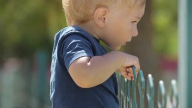 A little boy peeks out from behind a fence. Mid shot
