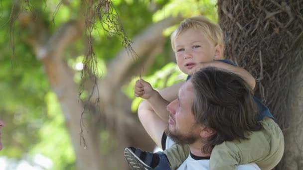 Little Boy Sits His Fathers Shoulders Plays Hanging Twigs Mid — Video