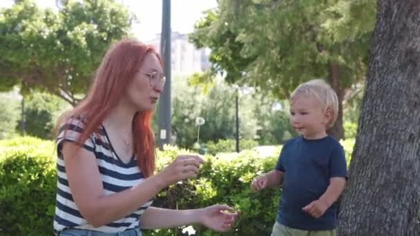 Family Spend Time Green Park Mother Gives Her Son Dandelion — Vídeo de Stock