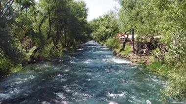 Parktaki ağaçlar arasındaki güçlü nehir akıntısı. Orta çekim