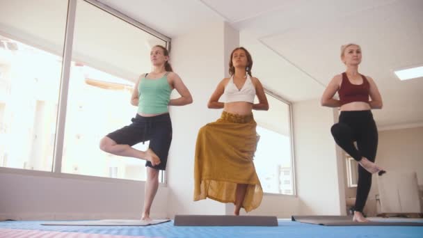 Three Women Having Yoga Classes Studio Standing One Leg Mid — Stok video