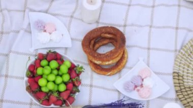 Women clink glasses of wine at a picnic. Mid shot
