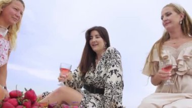 Happy women clink glasses of wine at a picnic. Mid shot