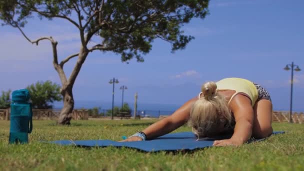 Adult Woman Doing Yoga Nature Doing Exercises Her Back Spine — Video Stock