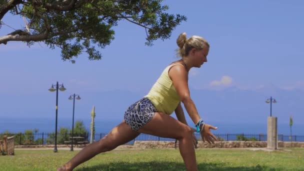 Adult Woman Doing Yoga Nature Sea Mid Shot — Stock videók