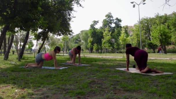 Turkey Antalya 2022 Yoga Class Park Mid Shot — стокове відео