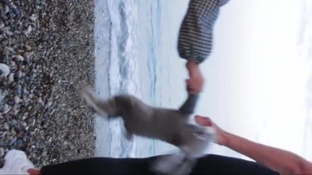 Little Girl Her Young Mother Holding Plush Bunny Sea Mid — Video Stock