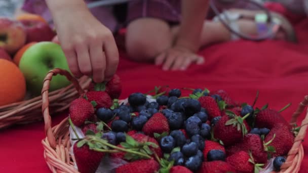 Сім Матері Маленької Доньки Мають Пікнік Їдять Ягоди Середній Постріл — стокове відео